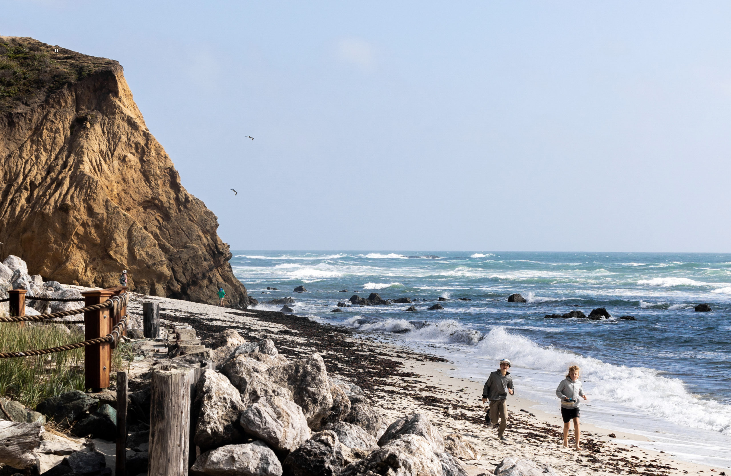 E. Petro and Lyke run along the Moss Beach shore.