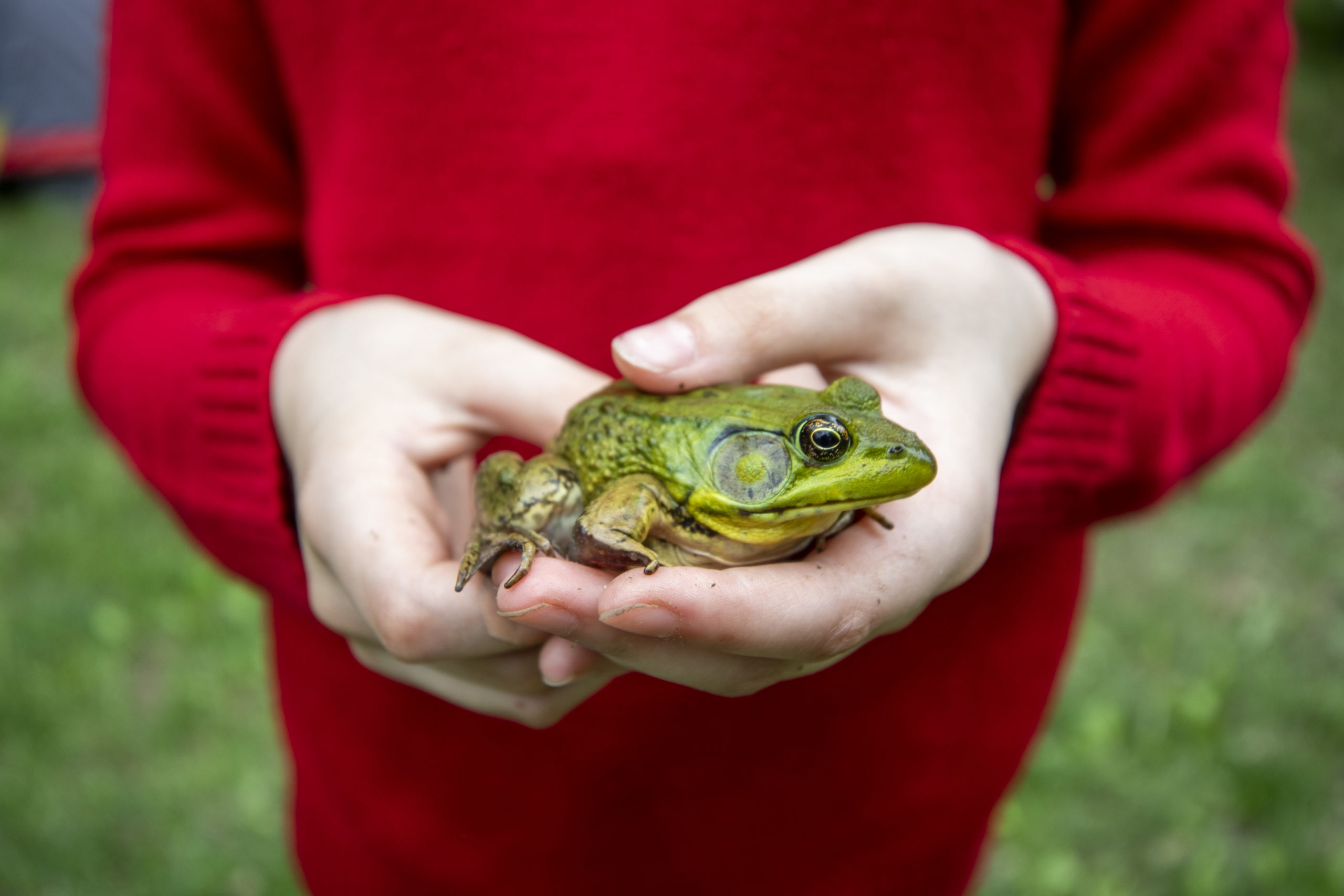 Boy Scouts Gender Inclusive